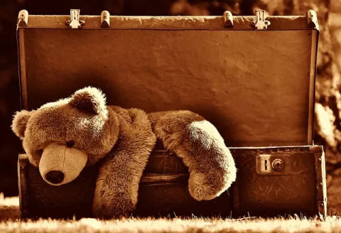 Nounours dans une valise